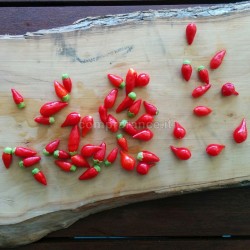 peperoncini colorati