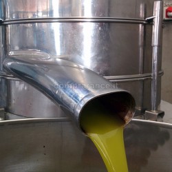 molitura olio