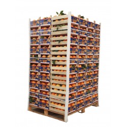 Pallet di Arance di Prima Scelta Coltivate in Sicilia