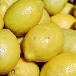 limoni per limonata