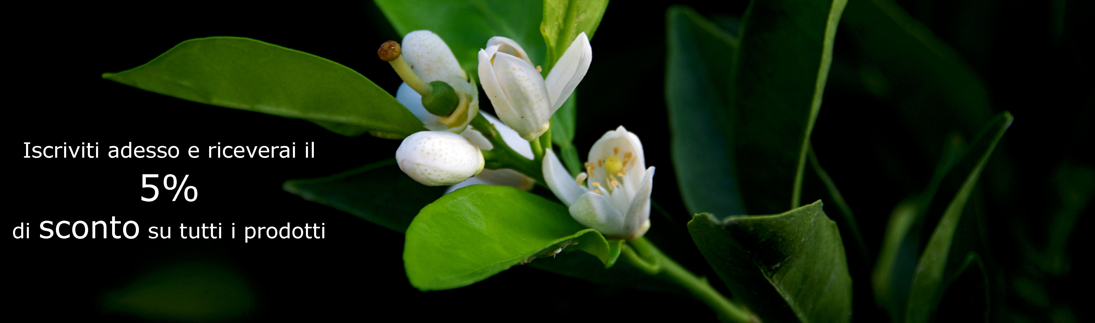 Effettua il tuo primo acquisto ed usufruirai di uno sconto del 5% su tutti i prodotti